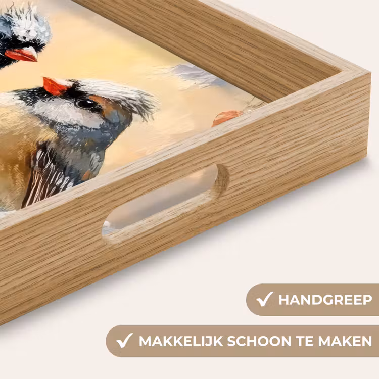 Dienblad - Vogels - Tak - Winter - Sneeuw — 5