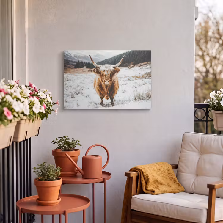 Buiten canvas - Schotse Hooglander - Landschap - Sneeuw - Bergen - Winter — 3