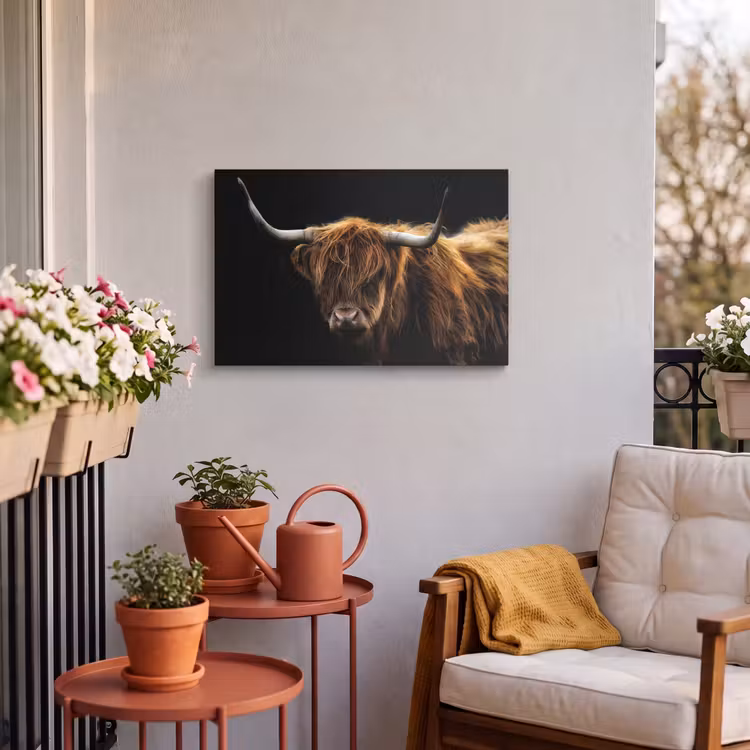 Buiten canvas - Schotse Hooglander - Horens - Zwart - Dieren - Natuur - Wild - Koe — 3