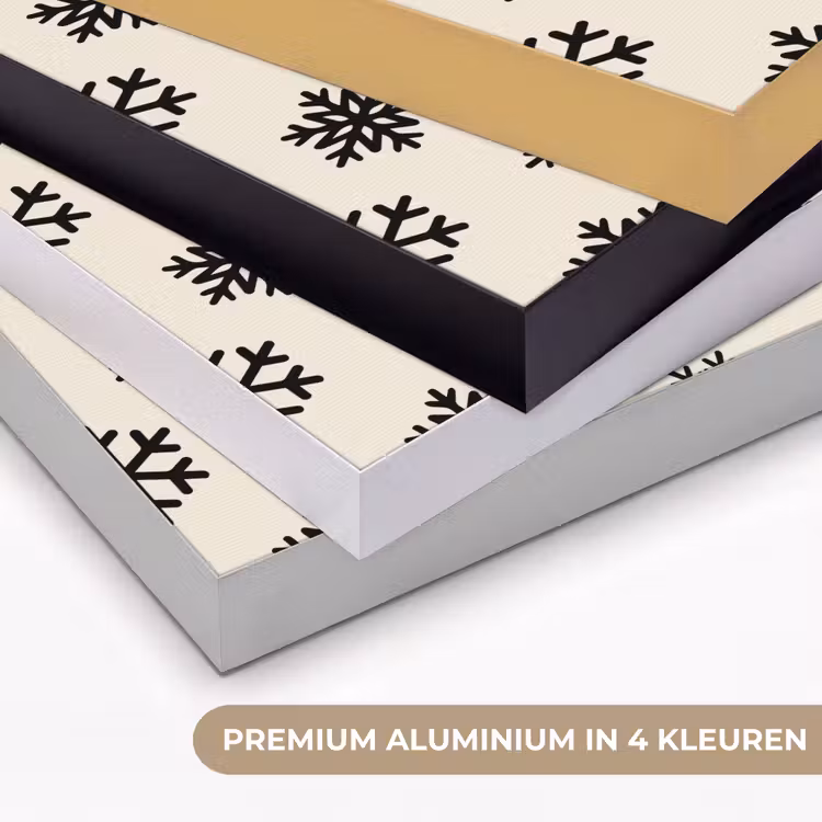 Art frame - Sneeuwvlok - Crème - Wit — 2