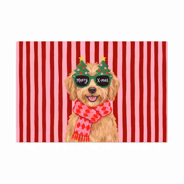 Speelkleed - Hond - Kerst - Rood — 1