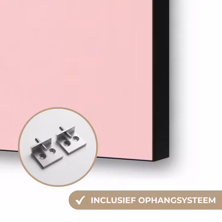 Art frame - Plant - Kerst - Roze — 6