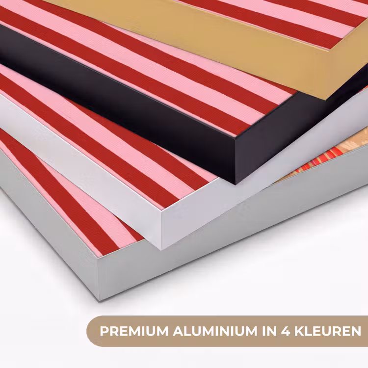 Art frame - Hond - Kerst - Rood — 2