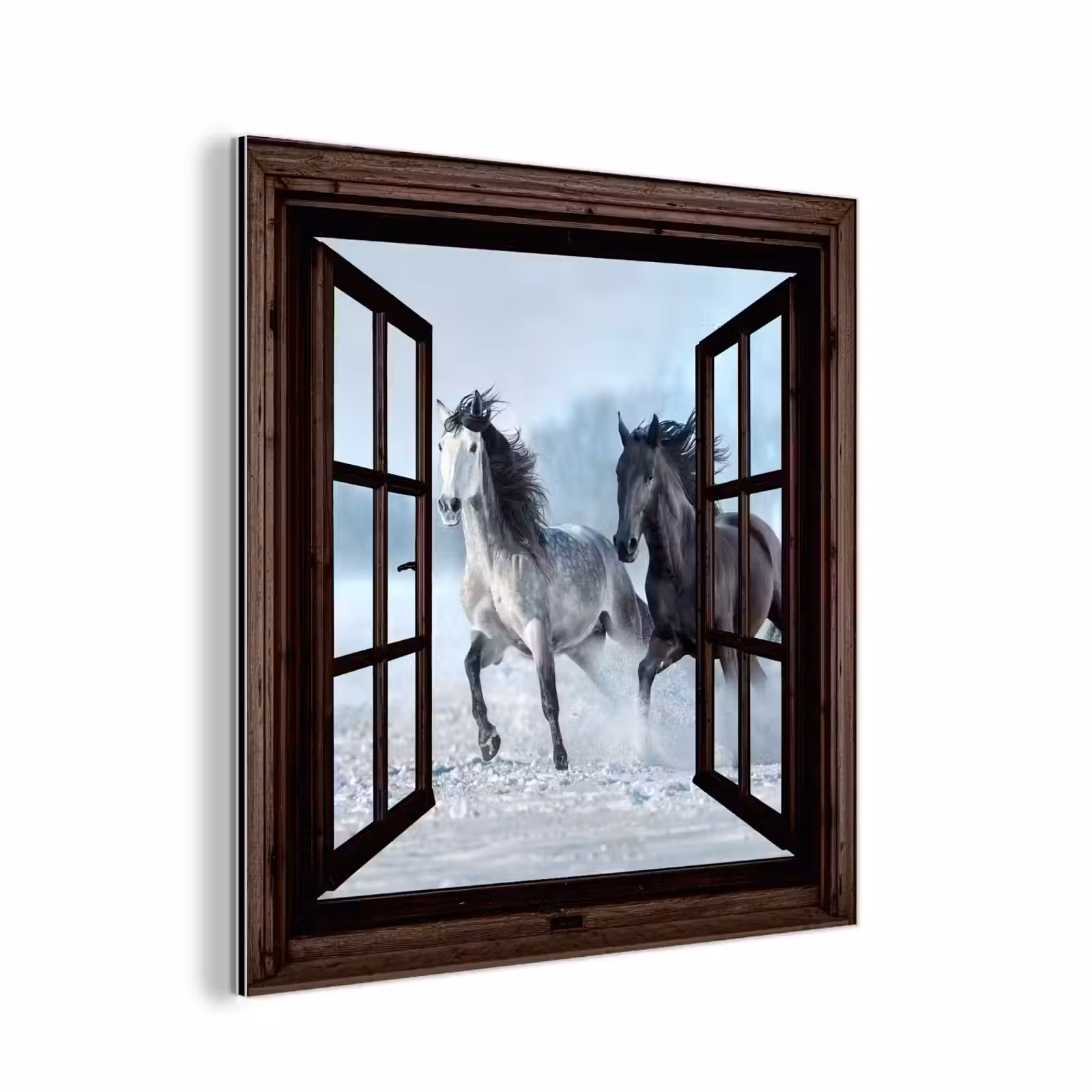 Aluminium schilderij - Paarden - Winter - Dieren - Natuur - Doorkijk — 1