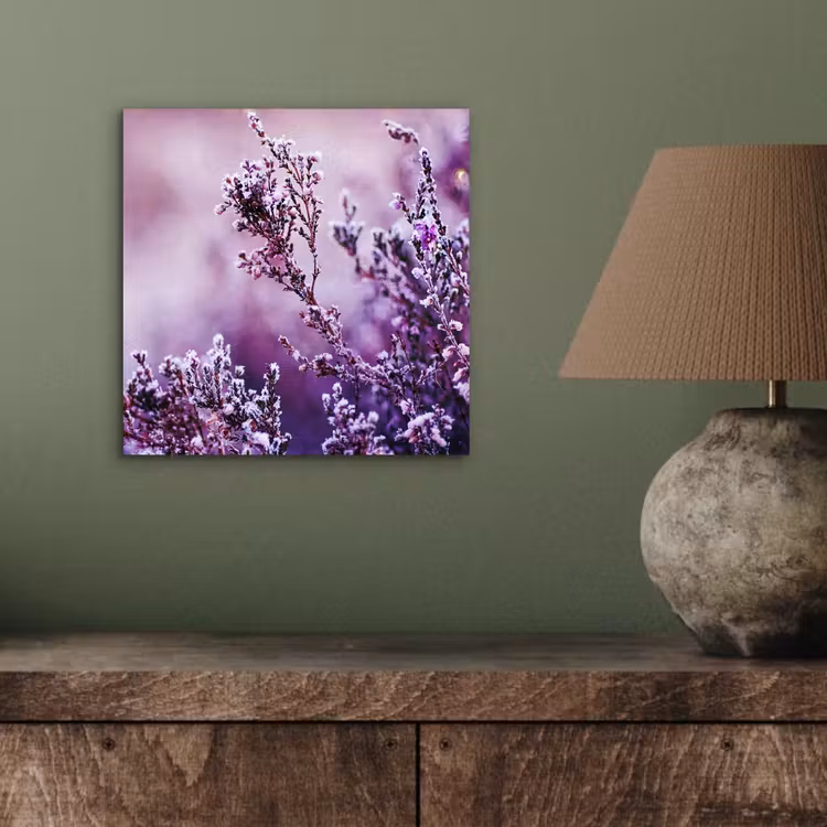 Aluminium schilderij - Lavendel - Winter - Bloemen - Paars — 3