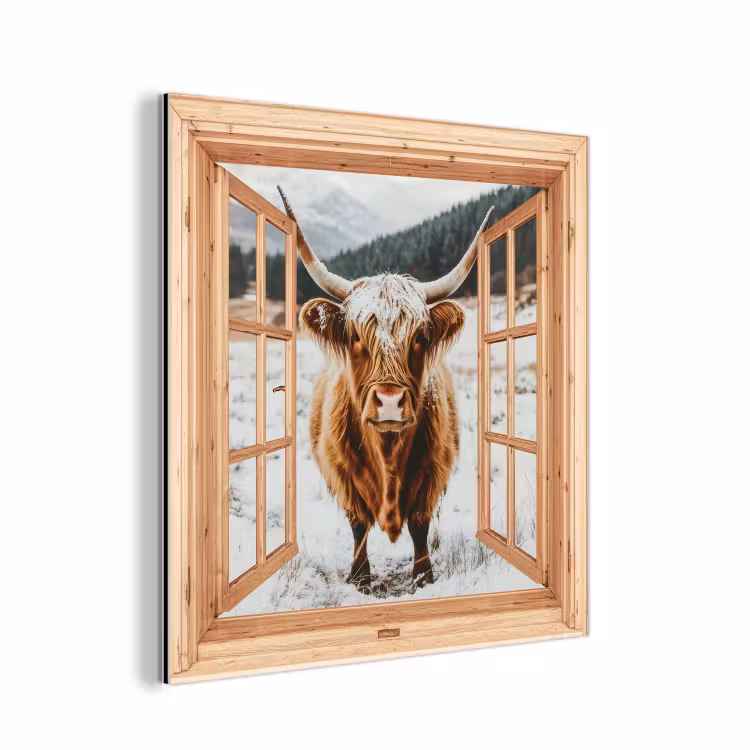 Aluminium schilderij - Schotse Hooglander - Landschap - Landelijk - Bergen - Winter - Doorkijk — 1