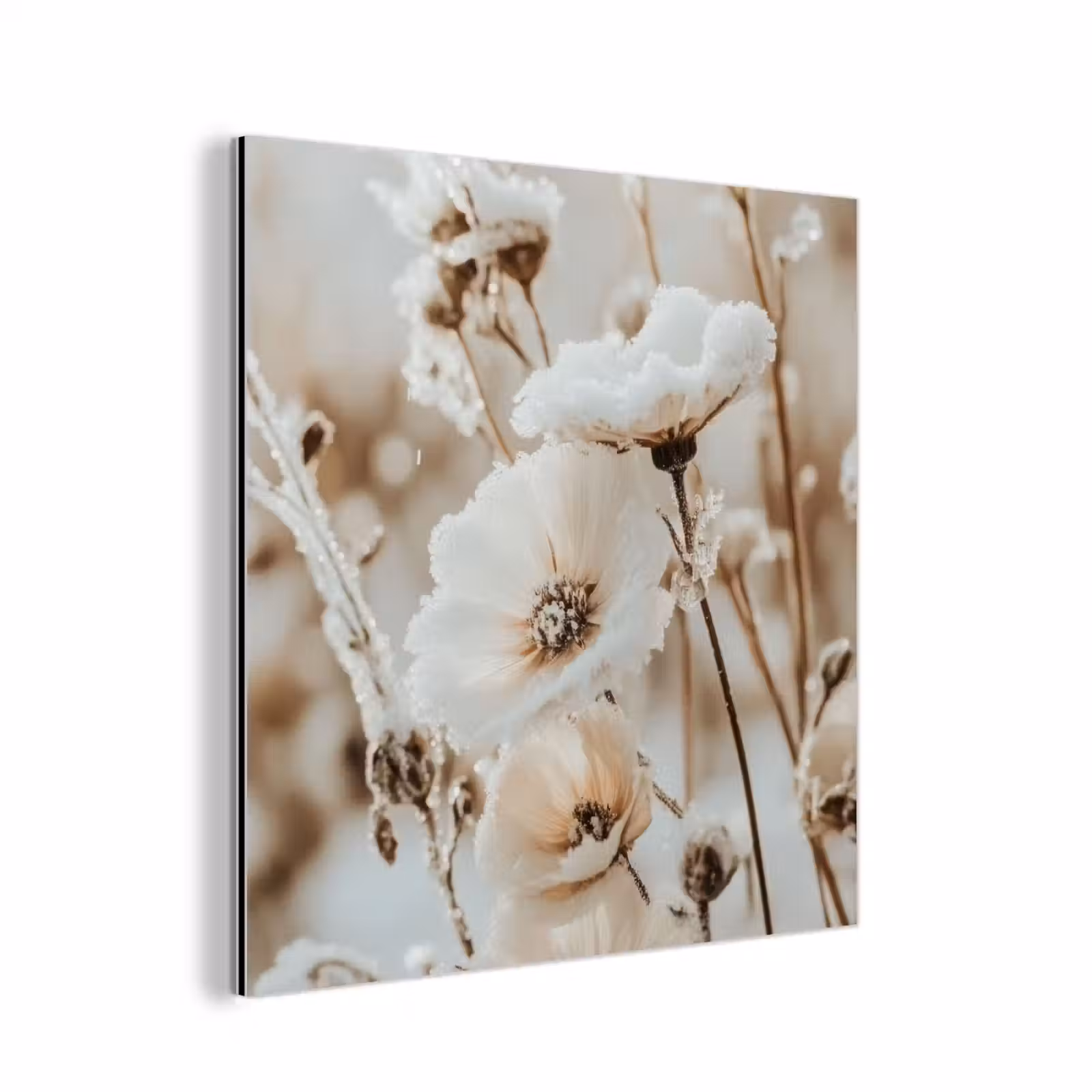 Aluminium schilderij - Bloemen - Winter - Wit - Sneeuw - Beige — 1