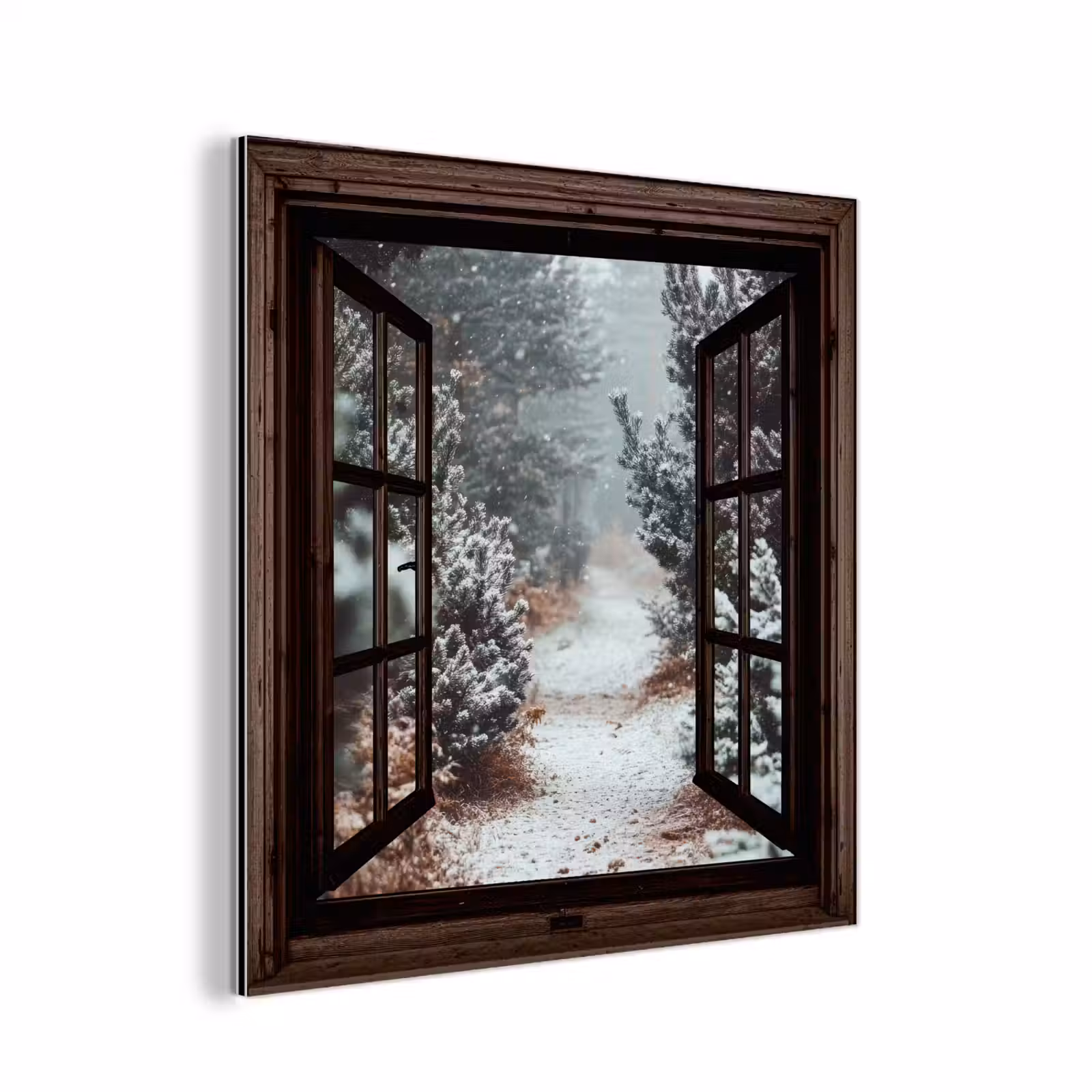 Aluminium schilderij - Bos - Winter - Bomen - Natuur - Pad - Doorkijk — 1