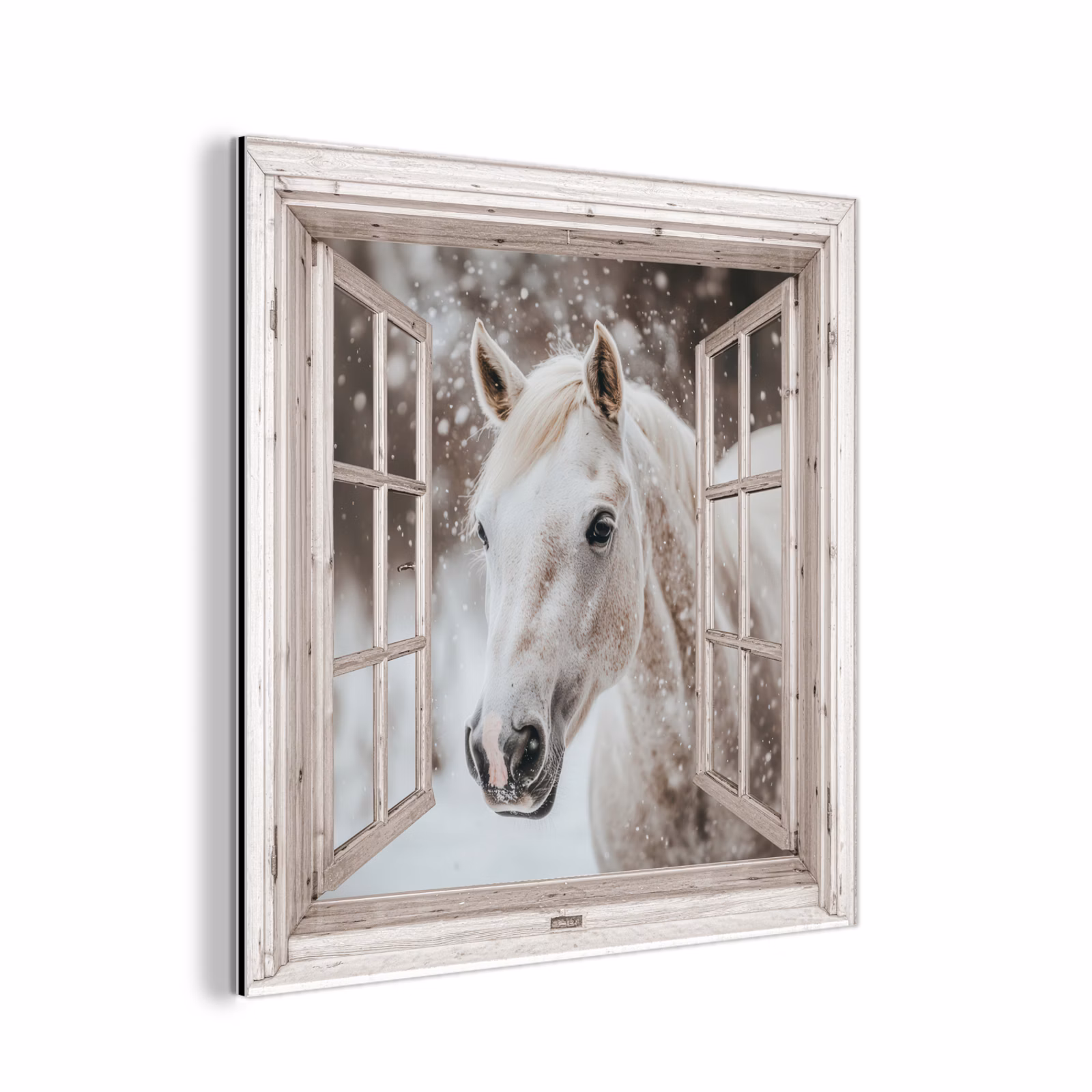 Aluminium schilderij - Paard - Wit - Winter - Sneeuw - Doorkijk - Dieren — 1