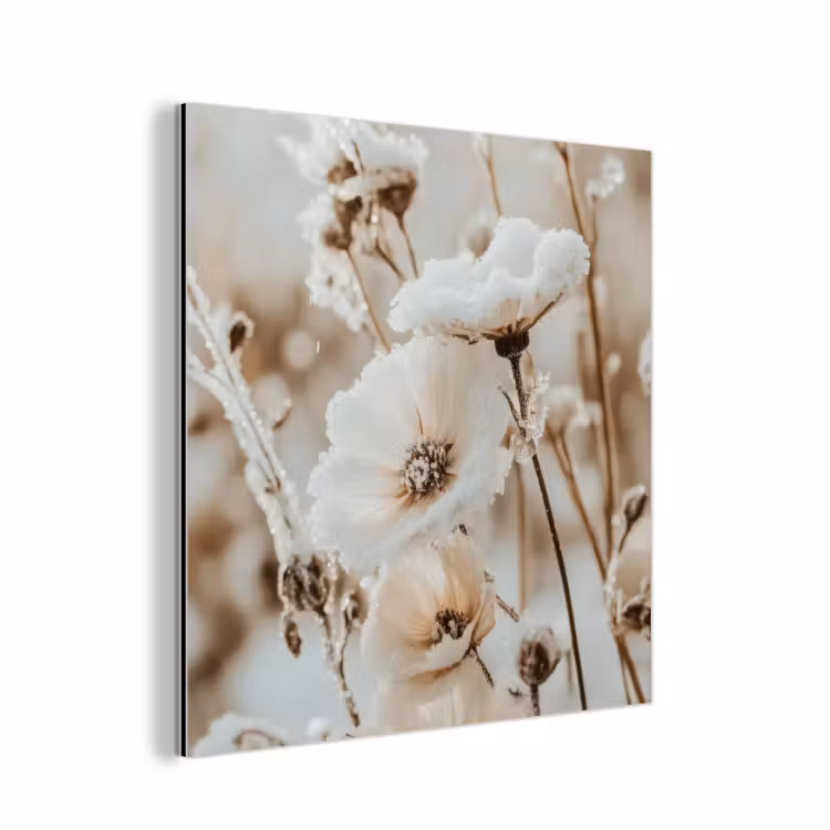 Aluminium schilderij - Bloemen - Winter - Wit - Sneeuw - Beige — 1