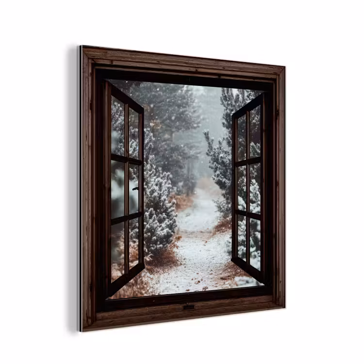 Aluminium schilderij - Bos - Winter - Bomen - Natuur - Pad - Doorkijk — 1