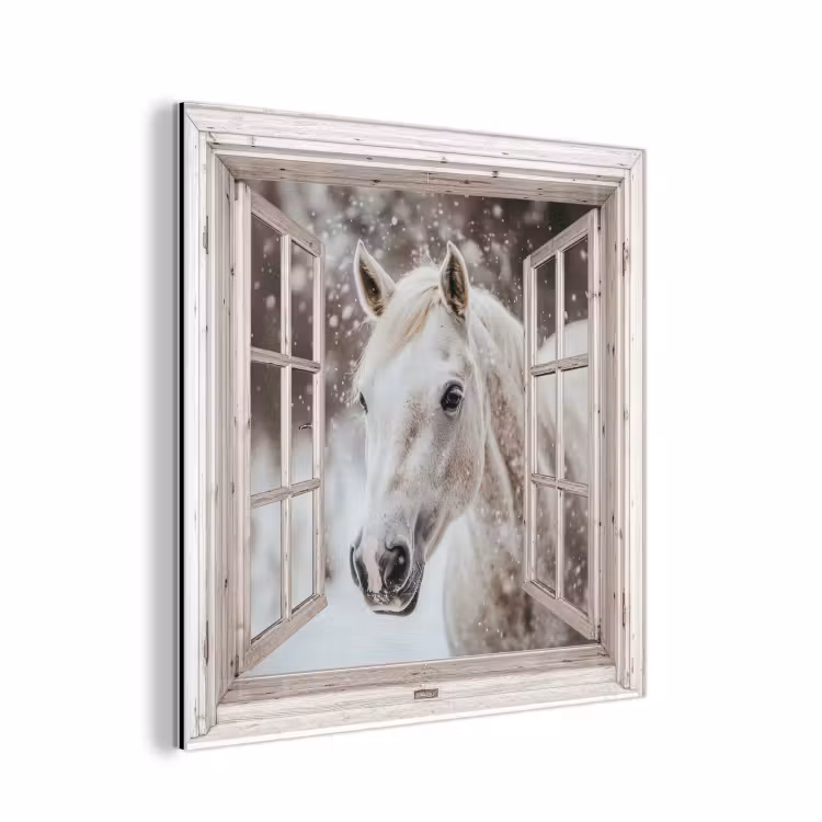 Aluminium schilderij - Paard - Wit - Winter - Sneeuw - Doorkijk - Dieren — 1