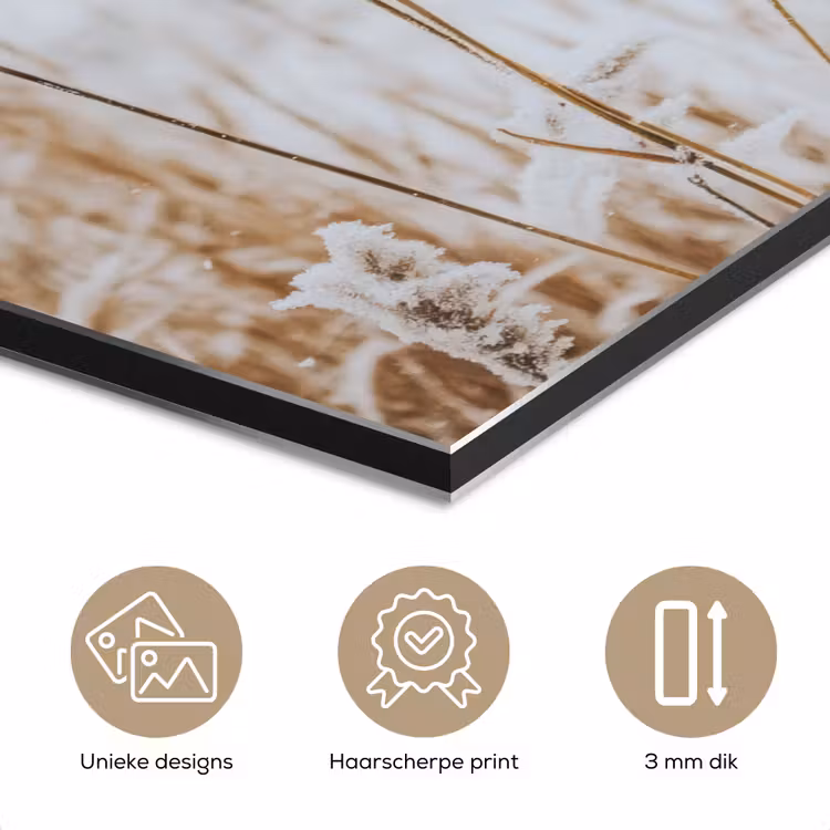 Aluminium schilderij - Riet - Meer - Winter - Natuur - Sneeuw - Beige — 7