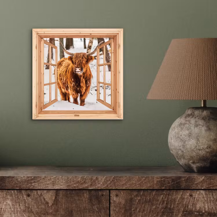 Aluminium schilderij - Schotse Hooglander - Winter - Landschap - Natuur - Dieren - Doorkijk — 3