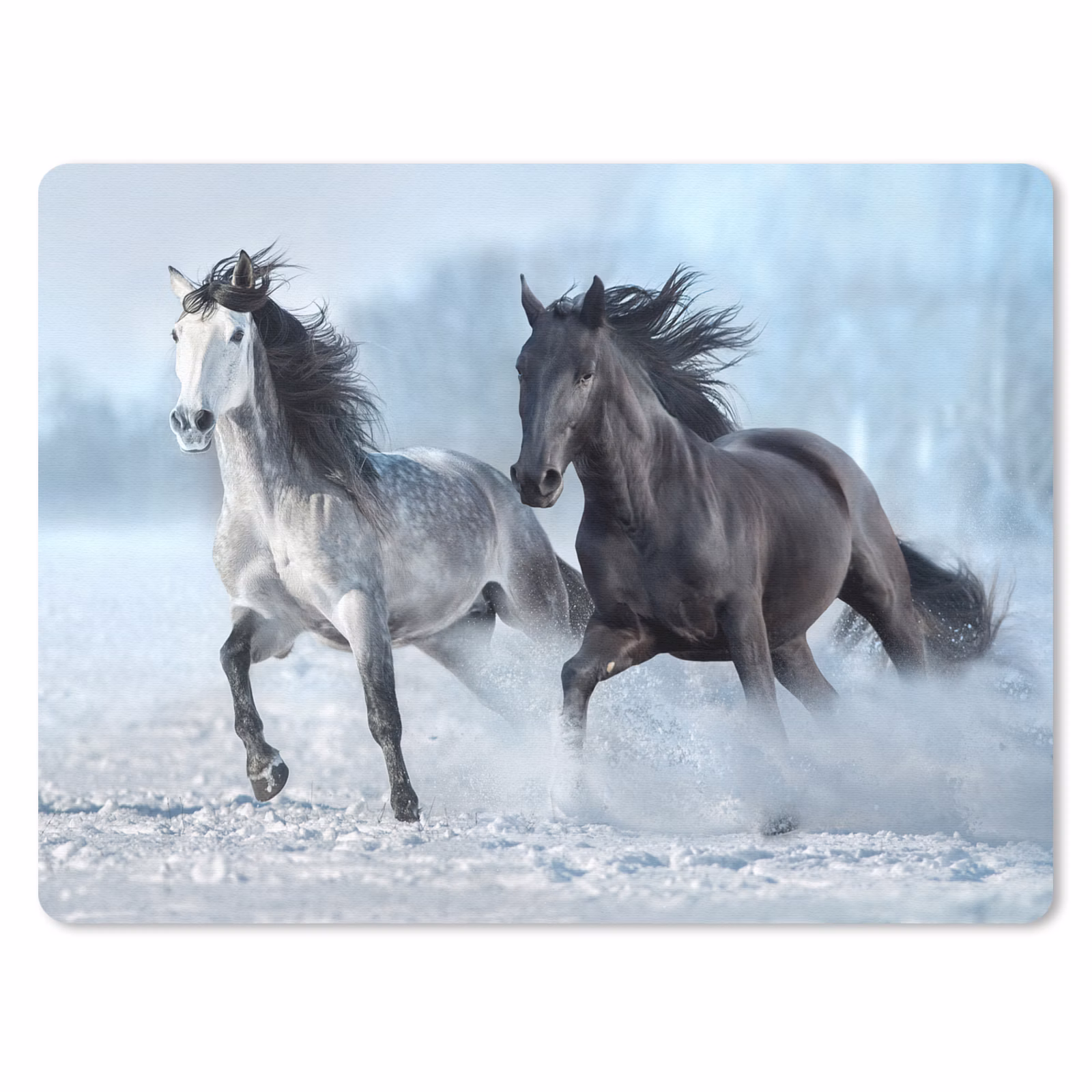 Muismat - Paarden - Winter - Dieren - Natuur - Sneeuw — 1