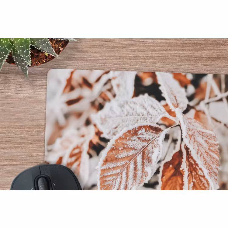 Muismat - Bladeren - IJs - Winter - Natuur — 4