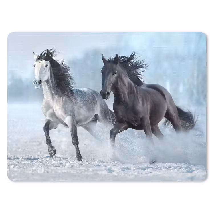 Muismat - Paarden - Winter - Dieren - Natuur - Sneeuw — 1