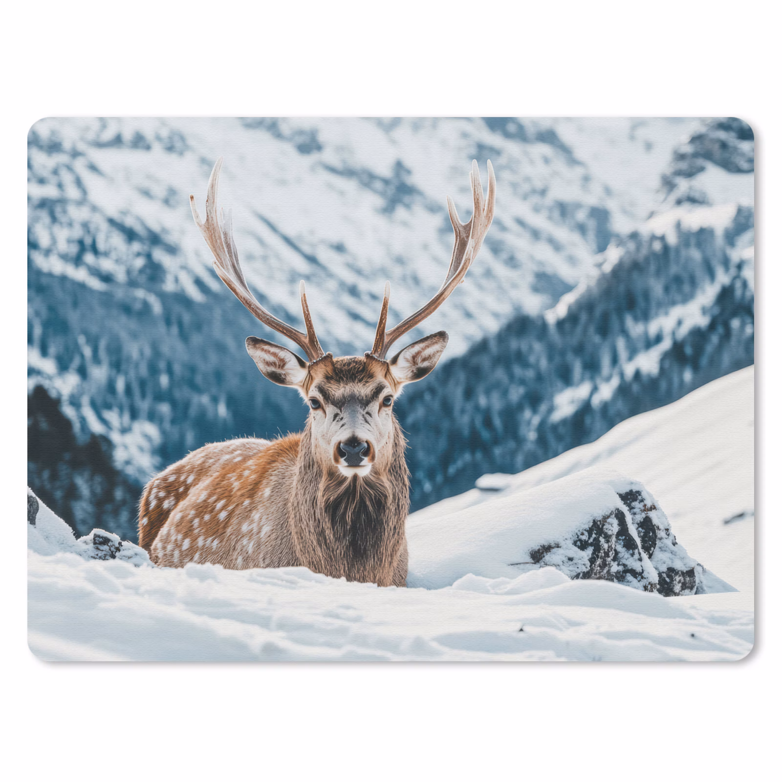 Muismat - Hert - Landschap - Winter - Natuur - Dieren - Bergen — 1