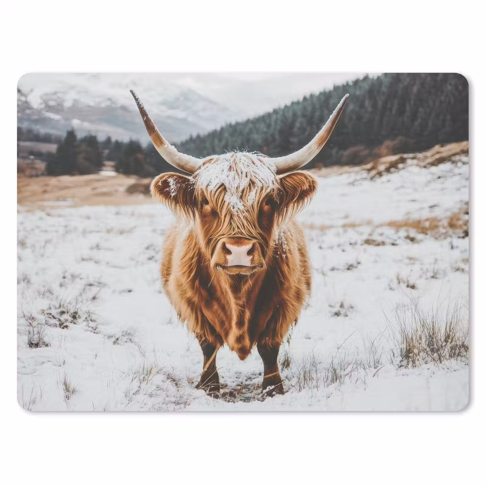 Muismat - Schotse Hooglander - Landschap - Sneeuw - Bergen - Winter — 1