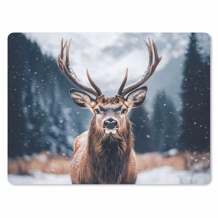 Muismat - Hert - Dieren - Landschap - Winter - Sneeuw — 1