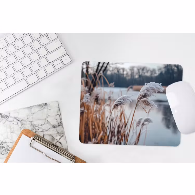 Muismat - Riet - Gras - Natuur - Winter - Meer — 2