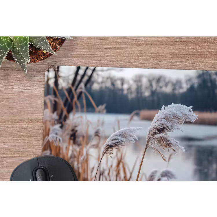 Muismat - Riet - Gras - Natuur - Winter - Meer — 4