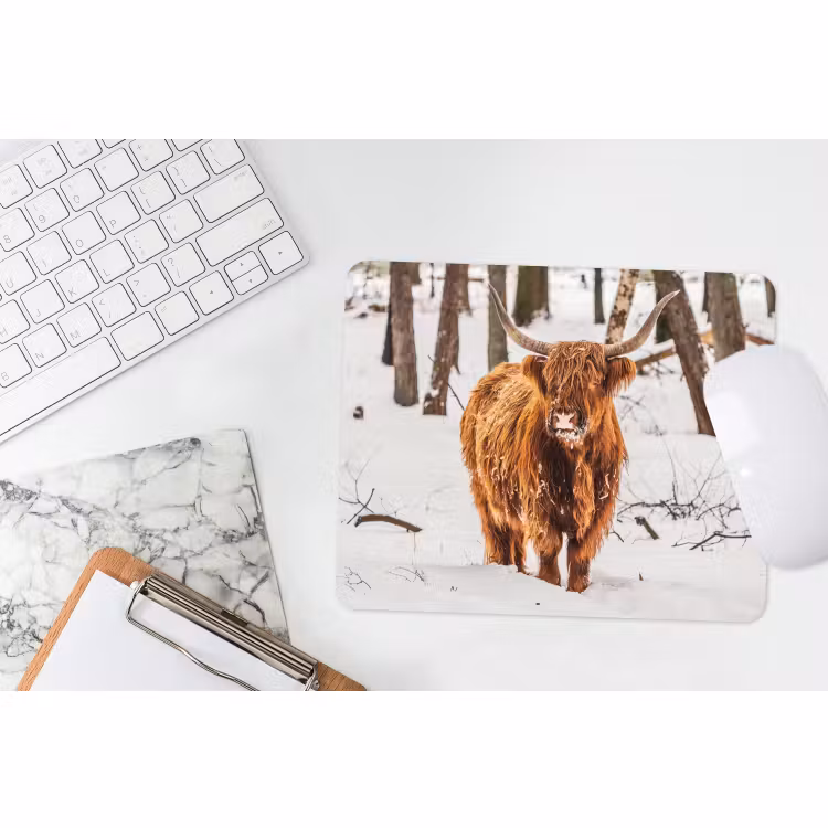 Muismat - Schotse Hooglander - Sneeuw - Winter - Natuur - Dieren — 2