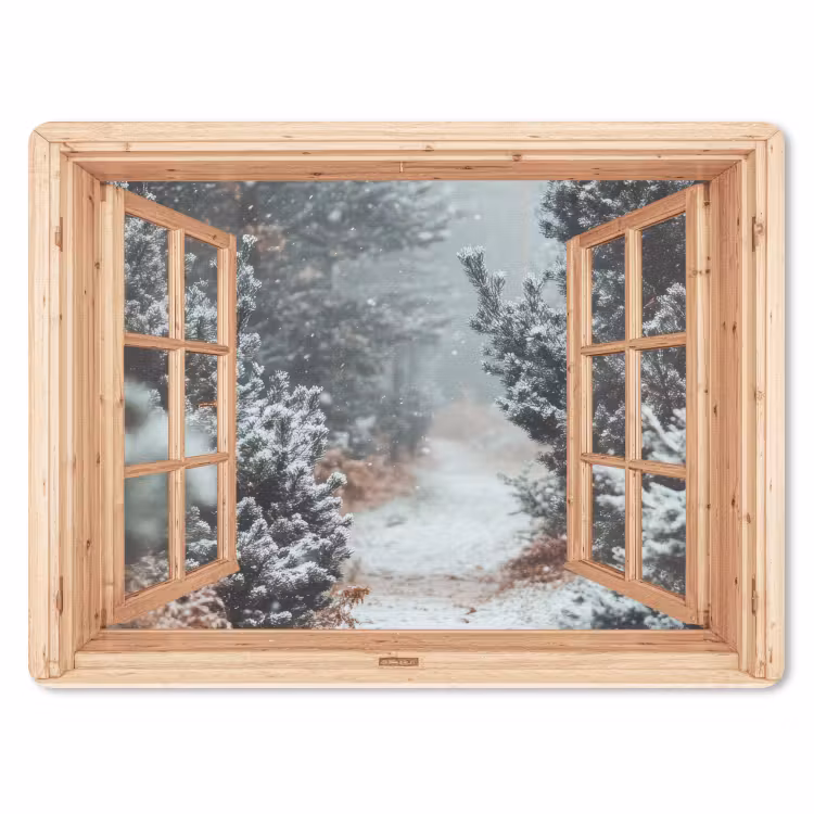 Muismat - Bos - Winter - Bomen - Natuur - Pad - Doorkijk — 1