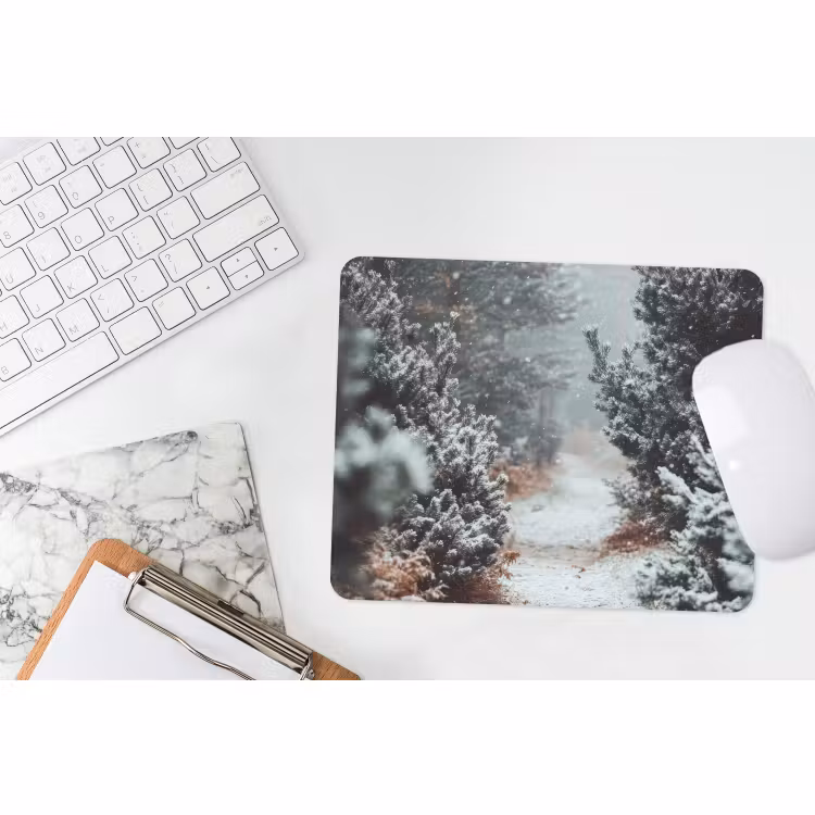 Muismat - Bos - Winter - Bomen - Natuur - Pad - Sneeuw — 2