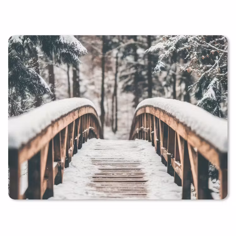 Muismat - Brug - Winterlandschap - Bos - Natuur - Sneeuw — 1