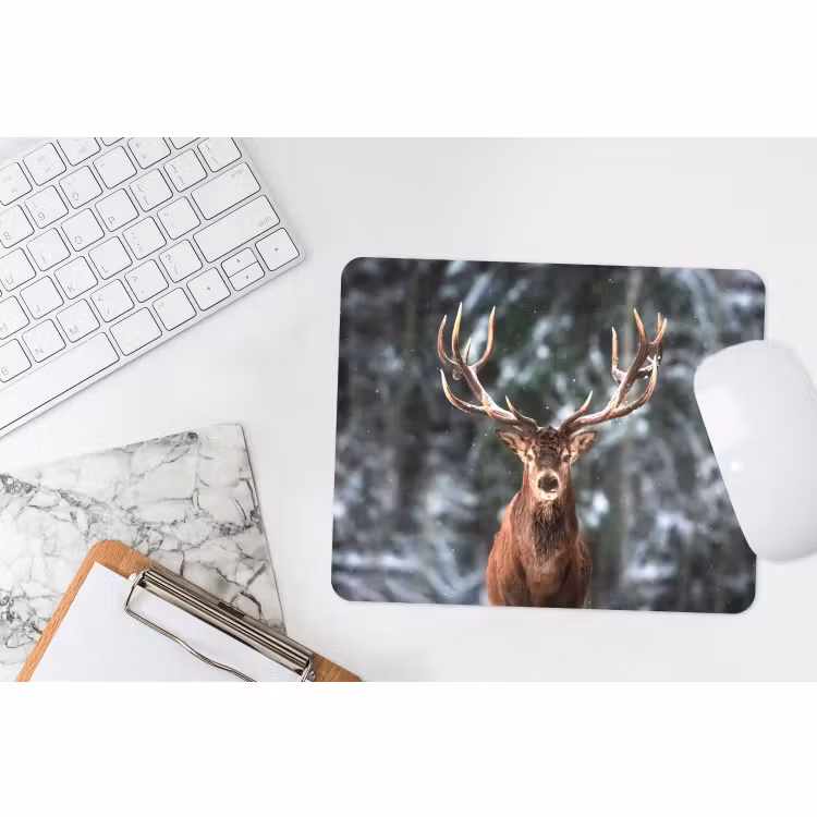 Muismat - Hert - Winter - Sneeuw - Bos - Natuur - Dier — 2