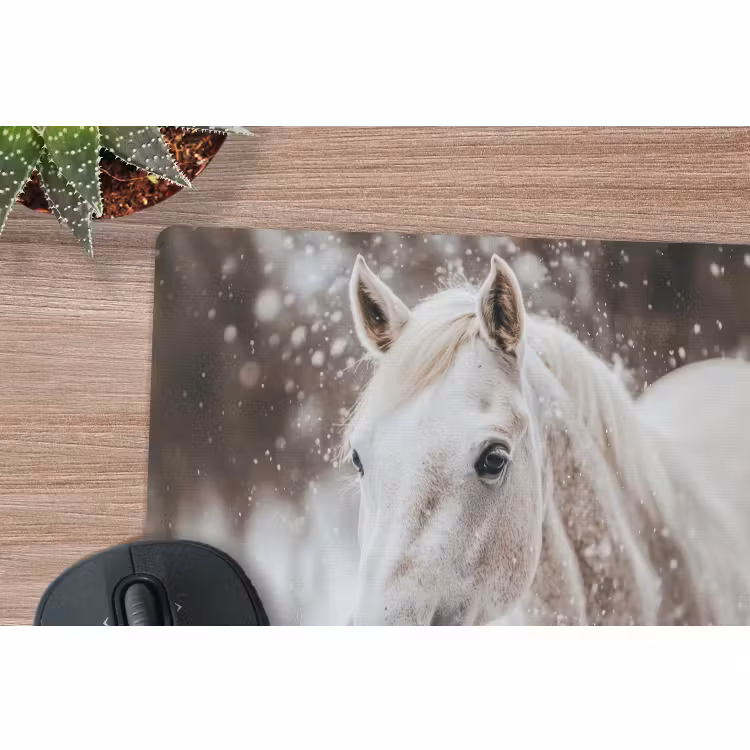 Muismat - Paard - Wit - Winter - Natuur - Sneeuw - Dieren — 4