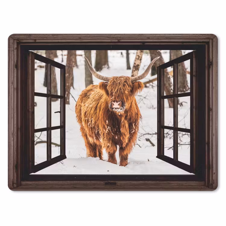 Muismat - Schotse Hooglander - Sneeuw - Natuur - Dieren - Doorkijk - Winter — 1