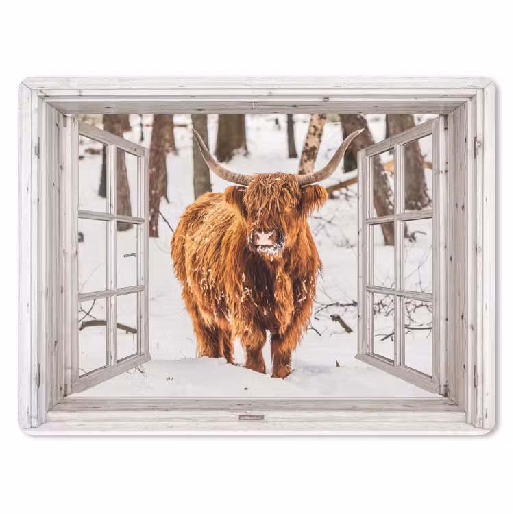 Muismat - Schotse Hooglander - Sneeuw - Winter - Natuur - Dier - Doorkijk - Landelijk — 1
