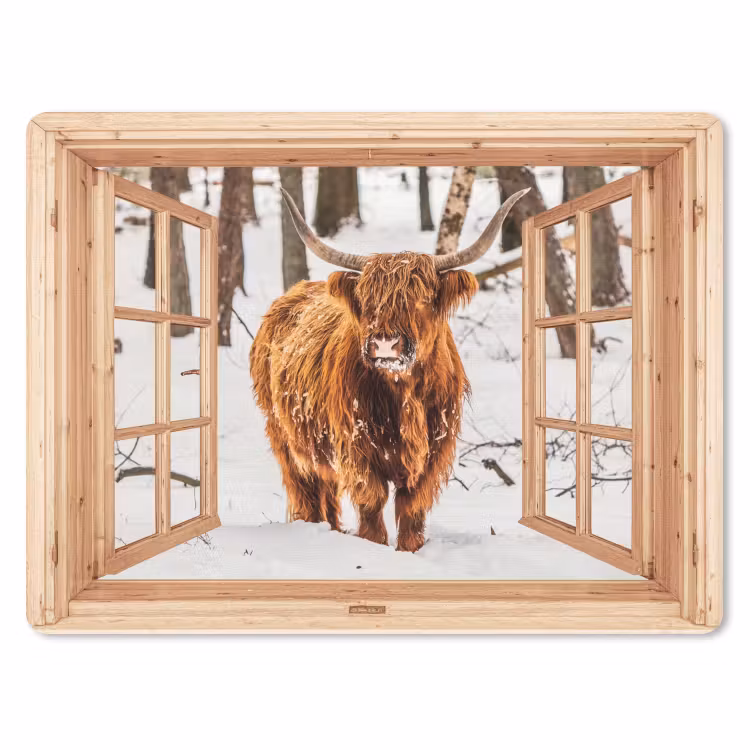Muismat - Schotse Hooglander - Winter - Landschap - Natuur - Dieren - Doorkijk — 1