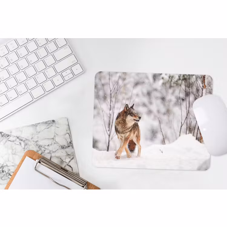 Muismat - Wolf - Winter - Sneeuw - Natuur - Dieren — 2