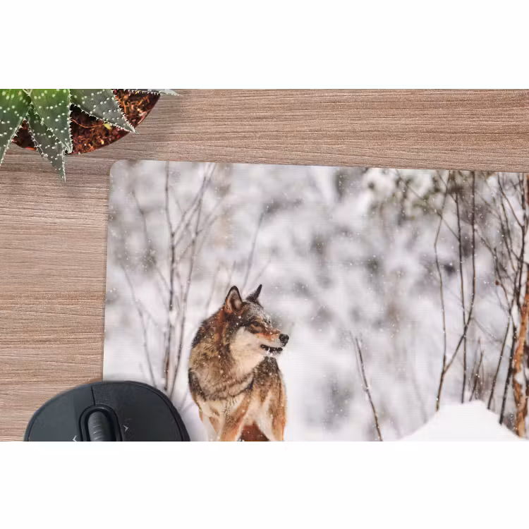 Muismat - Wolf - Winter - Sneeuw - Natuur - Dieren — 4
