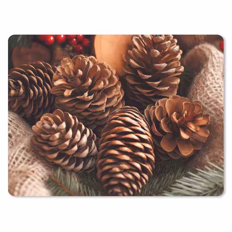 Muismat - Dennenappels - Boom - Winter - Natuur - Bruin — 1