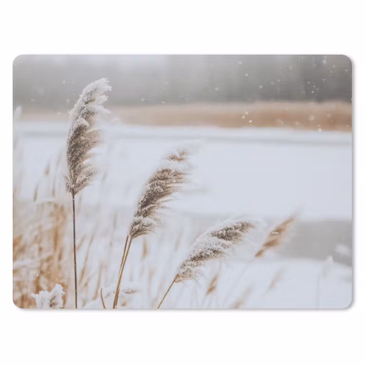 Muismat - Riet - Meer - Winter - Natuur - Sneeuw - Beige — 1