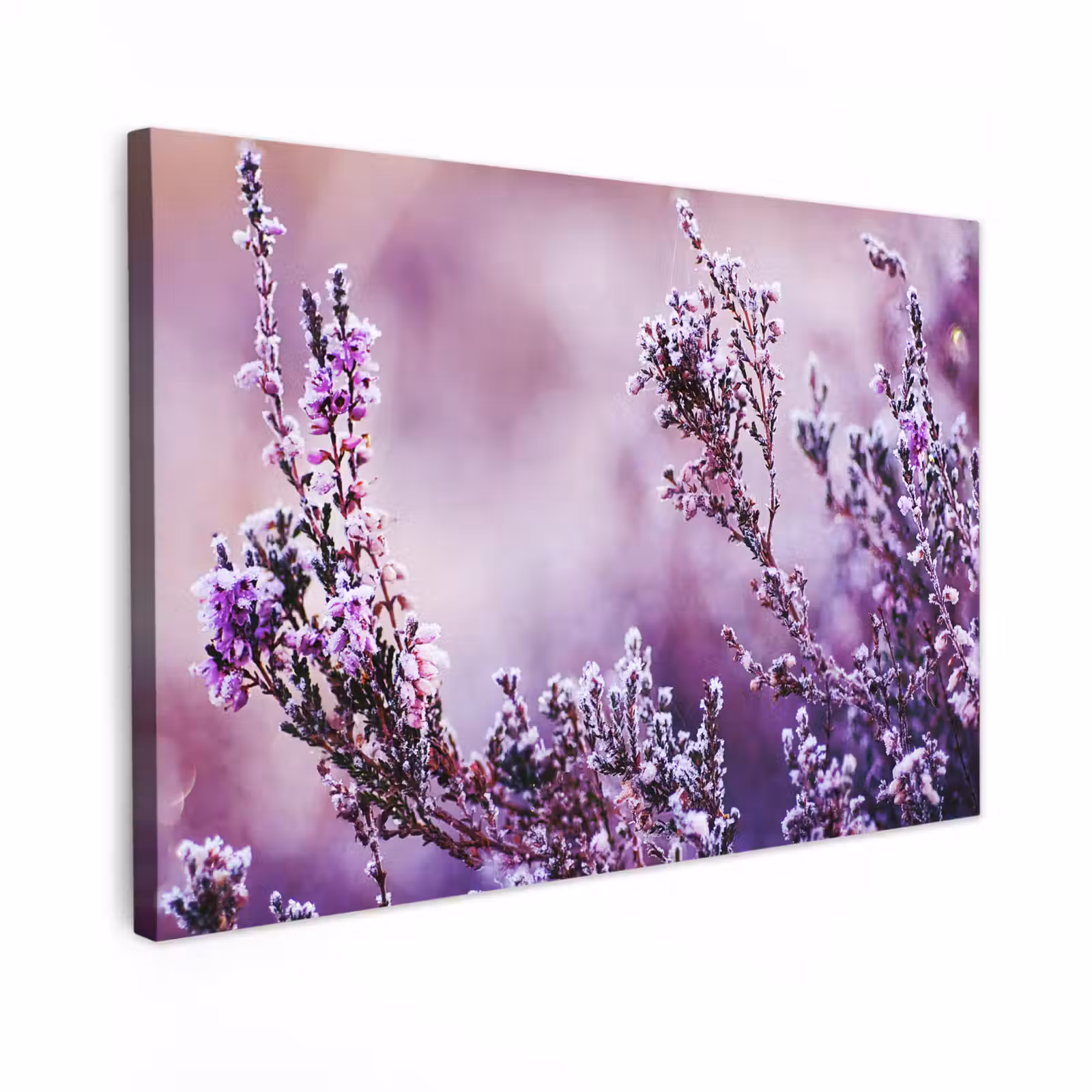 Canvas schilderij - Lavendel - Winter - Bloemen - Paars — 1