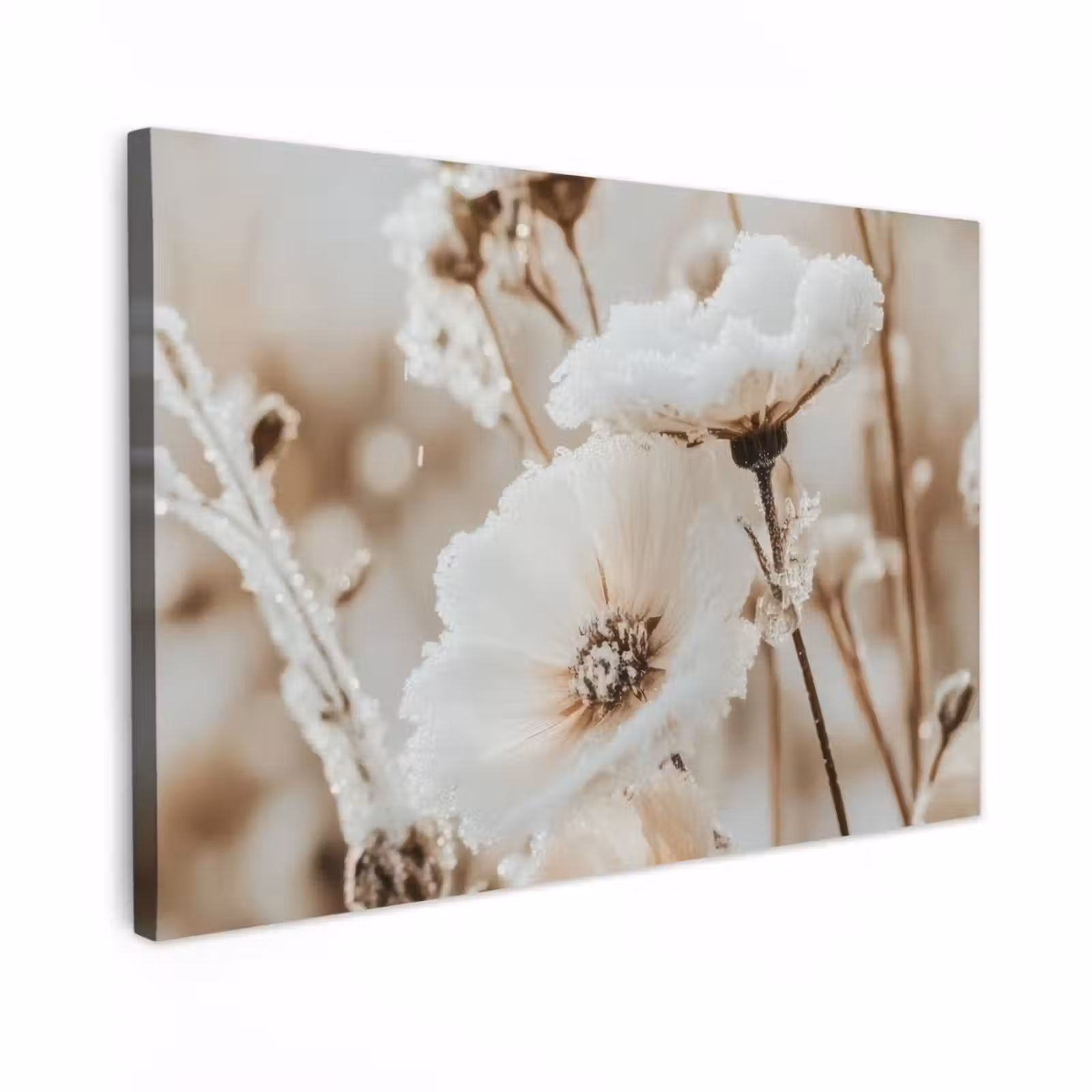 Canvas schilderij - Bloemen - Winter - Wit - Sneeuw - Beige — 1