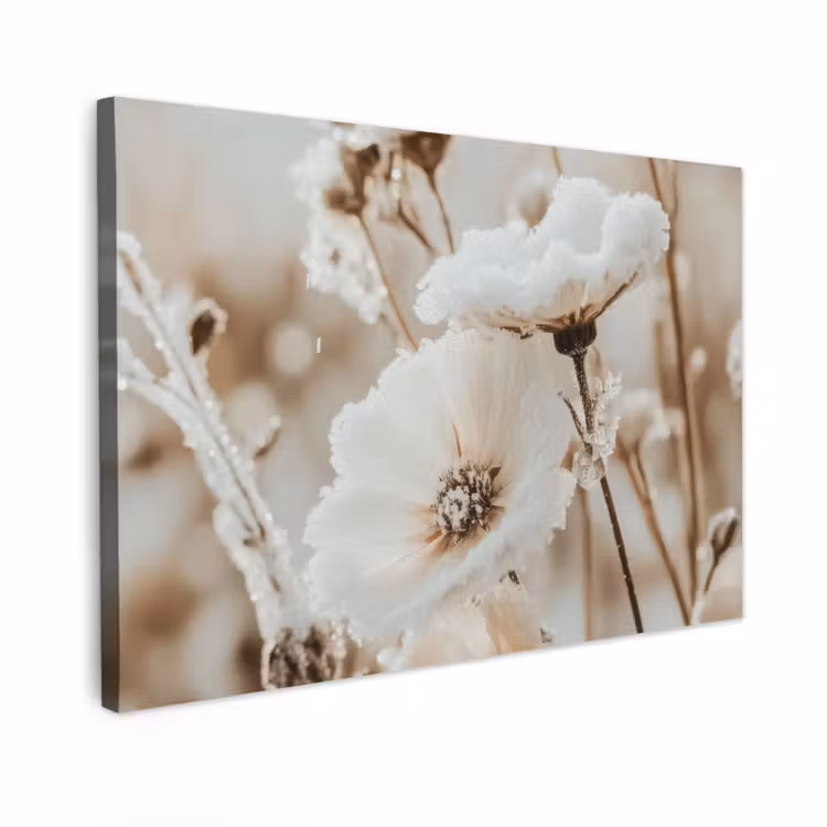 Canvas schilderij - Bloemen - Winter - Wit - Sneeuw - Beige — 1