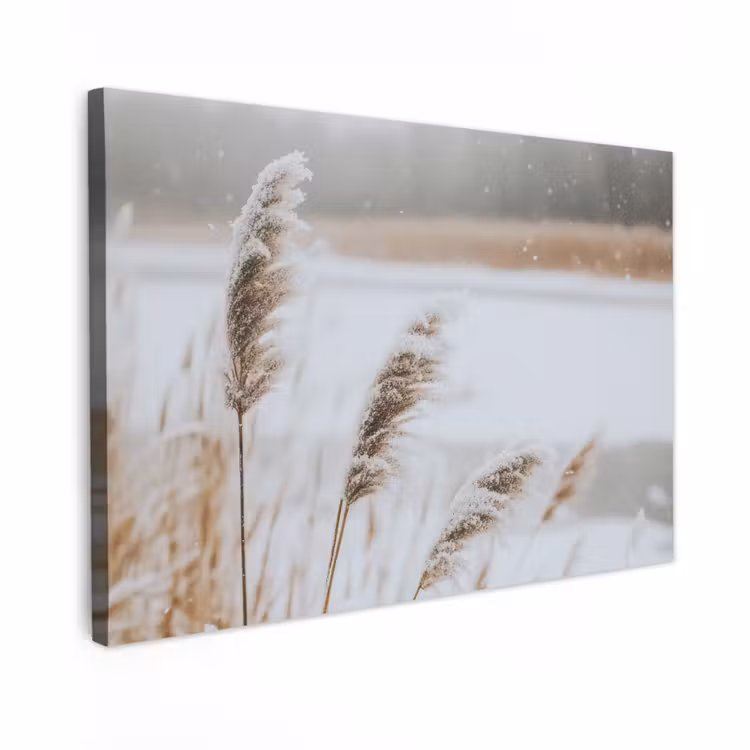 Canvas schilderij - Riet - Meer - Winter - Natuur - Sneeuw - Beige — 1