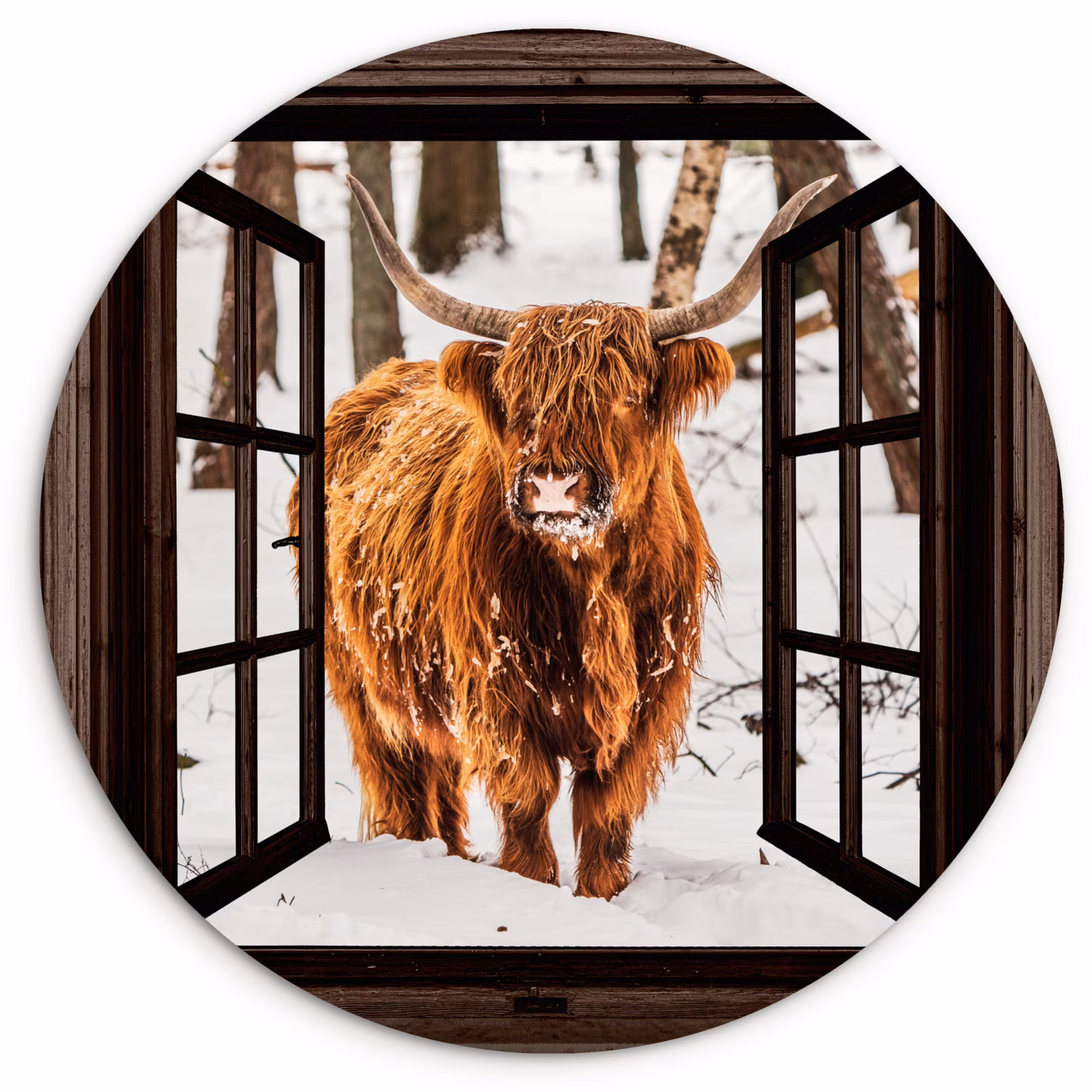 Muurcirkel - Schotse Hooglander - Sneeuw - Natuur - Dieren - Doorkijk - Winter — 1