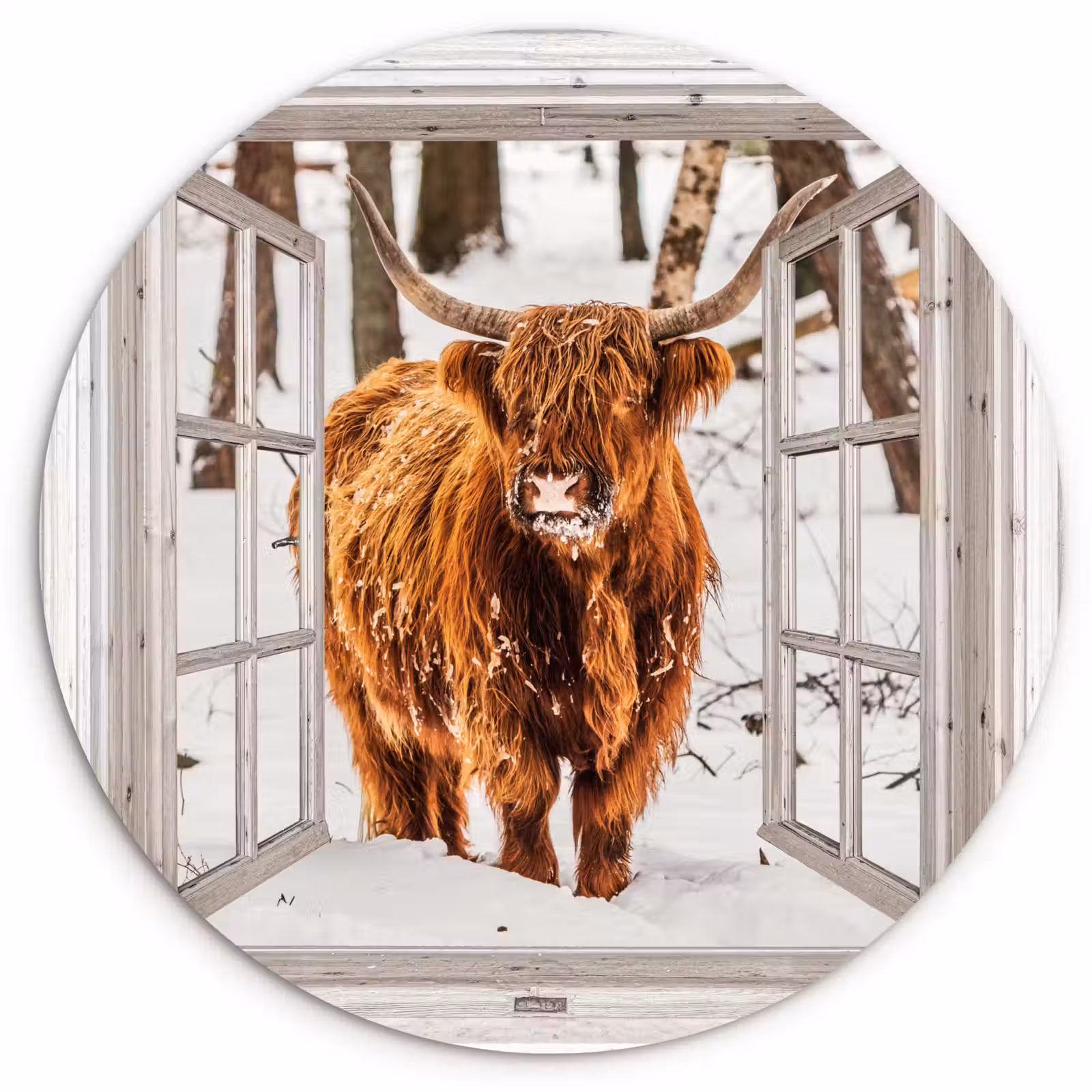 Muurcirkel - Schotse Hooglander - Sneeuw - Winter - Natuur - Dier - Doorkijk - Landelijk — 1