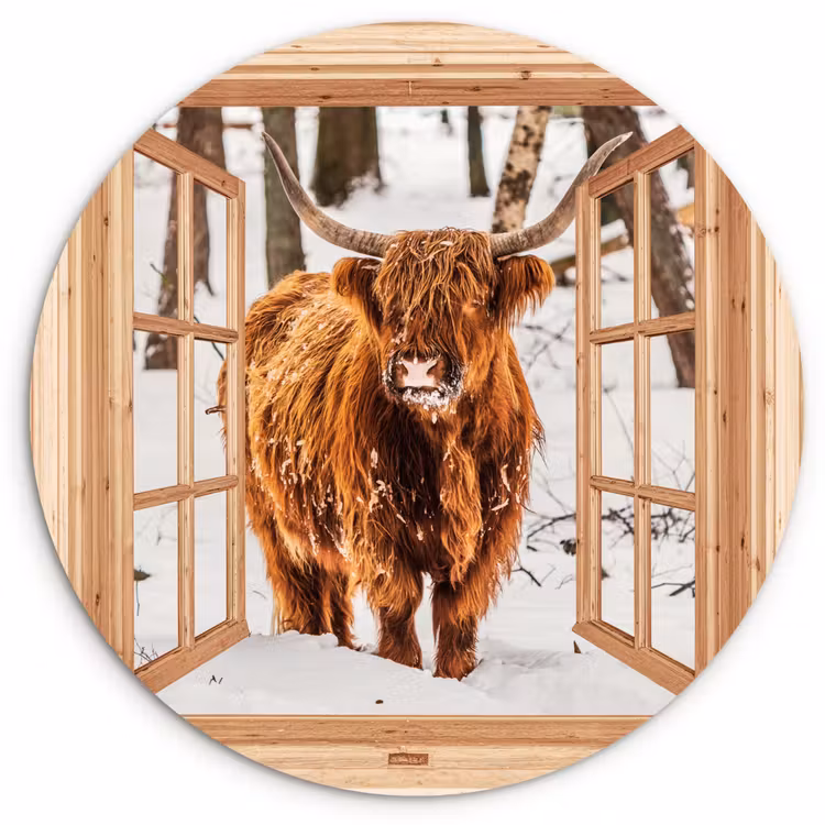 Muurcirkel - Schotse Hooglander - Winter - Landschap - Natuur - Dieren - Doorkijk — 1