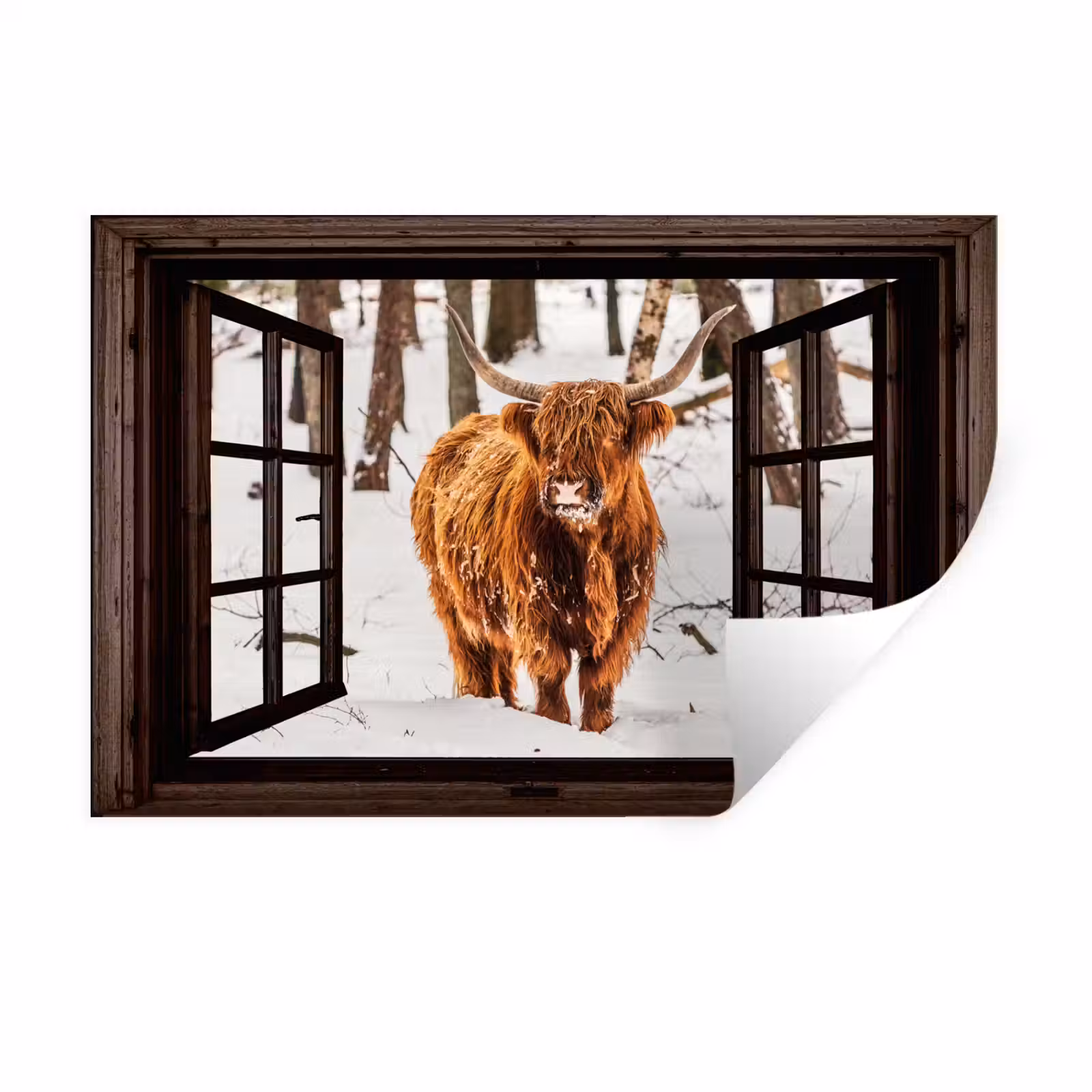 Muursticker - Schotse Hooglander - Sneeuw - Natuur - Dieren - Doorkijk - Winter — 1