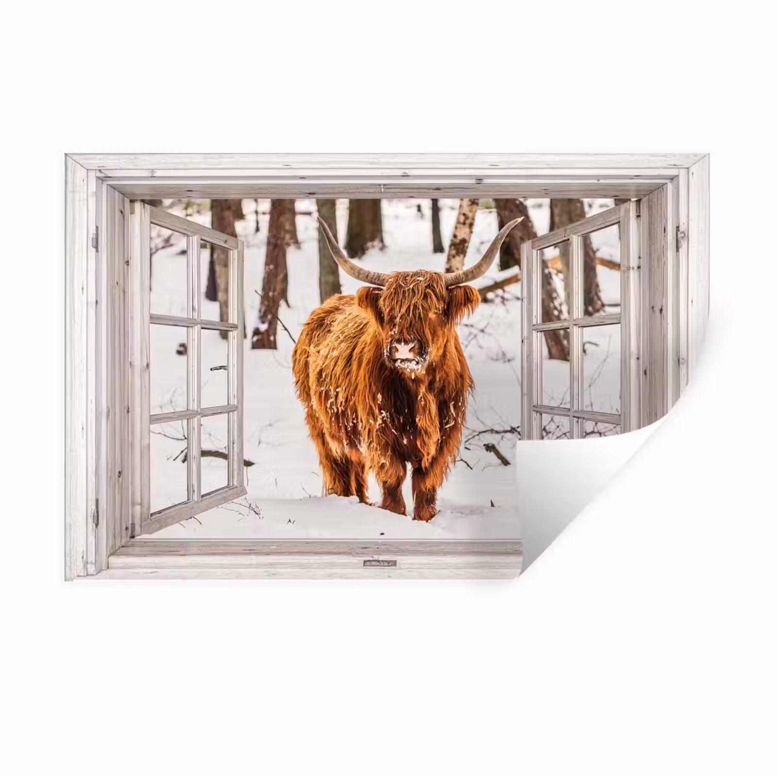 Muursticker - Schotse Hooglander - Sneeuw - Winter - Natuur - Dier - Doorkijk - Landelijk — 1
