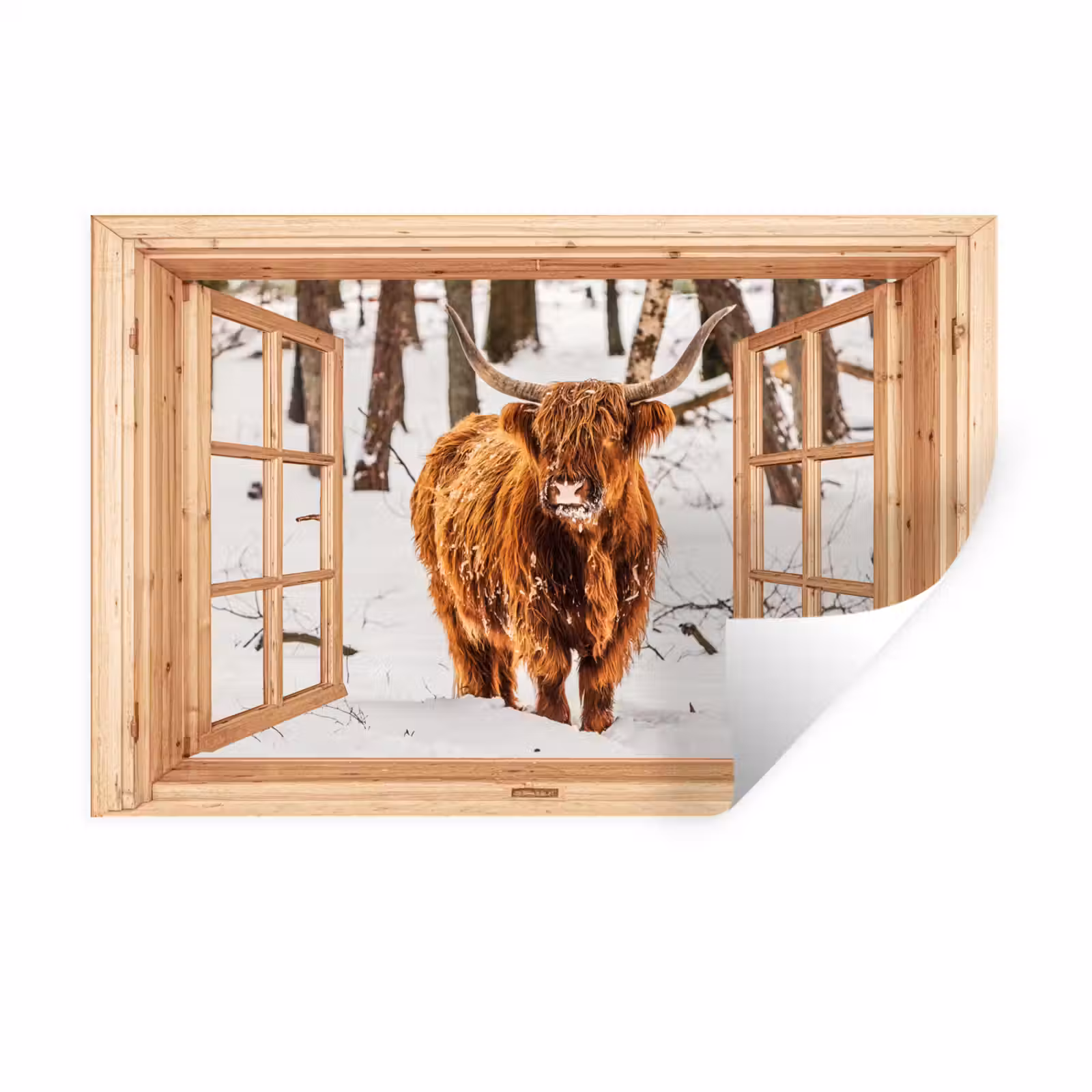 Muursticker - Schotse Hooglander - Winter - Landschap - Natuur - Dieren - Doorkijk — 1