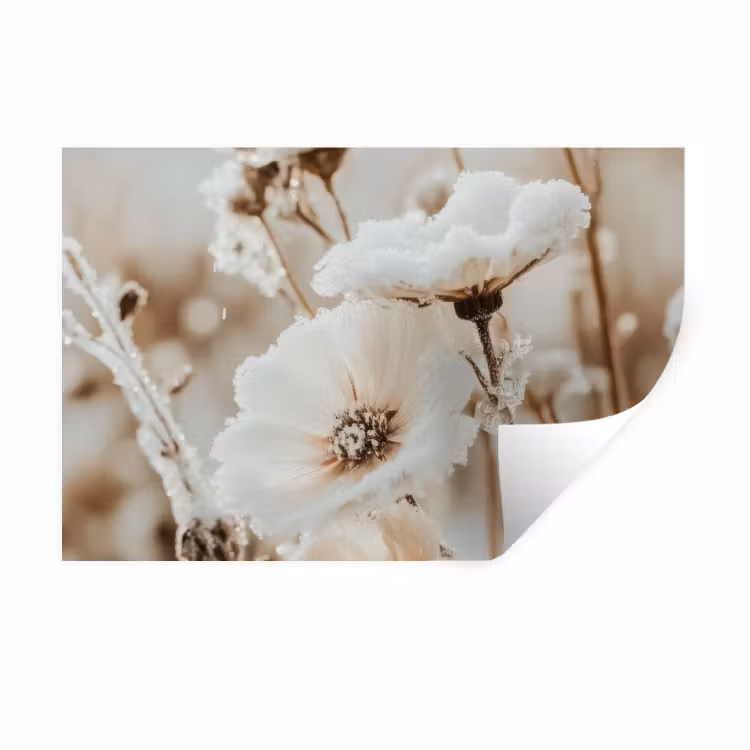 Muursticker - Bloemen - Winter - Wit - Sneeuw - Beige — 1